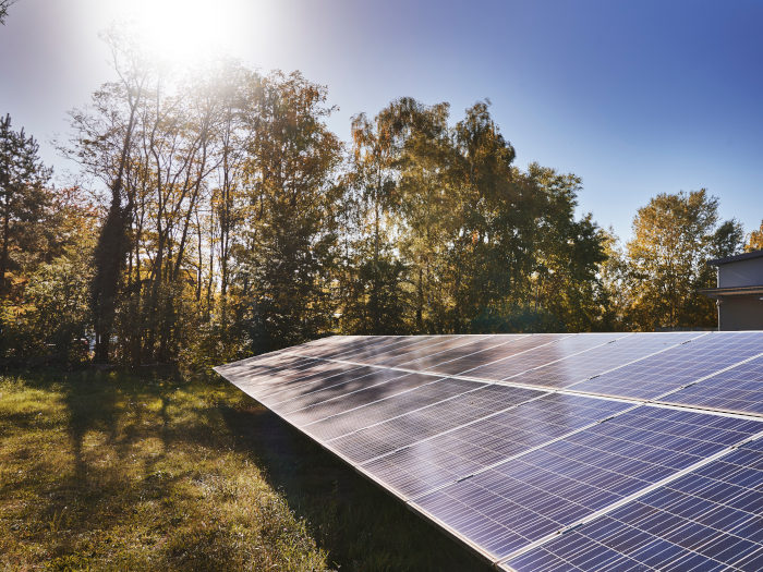 Solar panels on grass under blue sky.