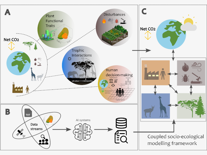A conceptual overview of the critical processes missing from land system modelling.
