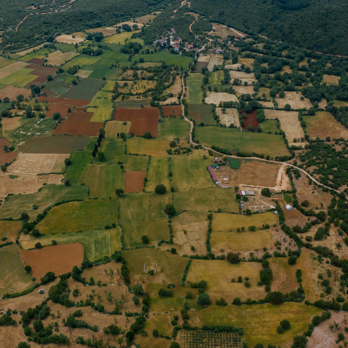 Aerial view of fields